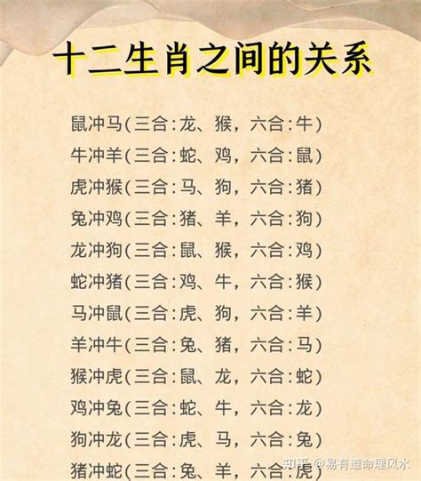 生肖六害|十二生肖里的三合、六合、六害、六冲分解